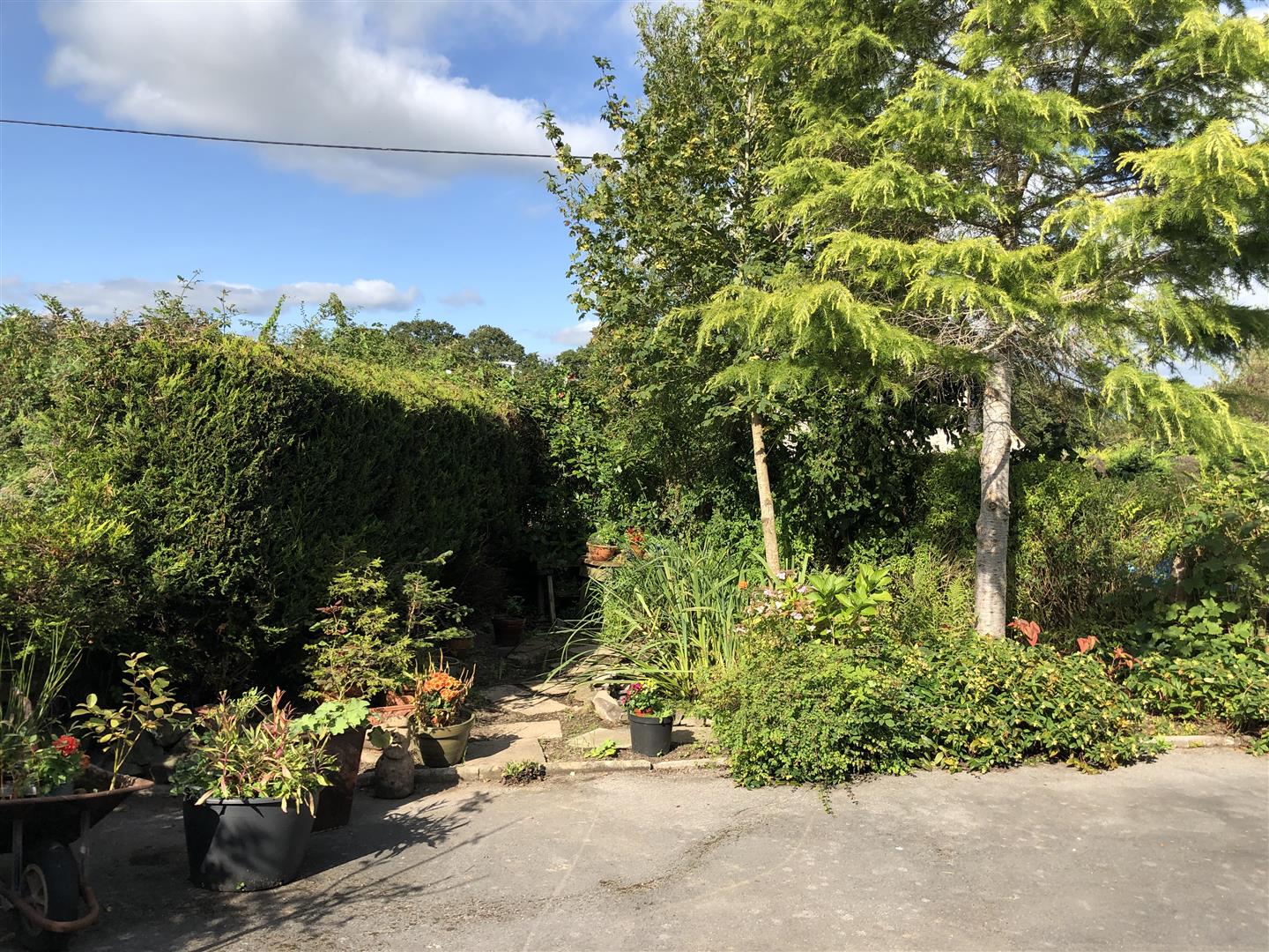 FRONT AND SIDE GARDEN ASPECT